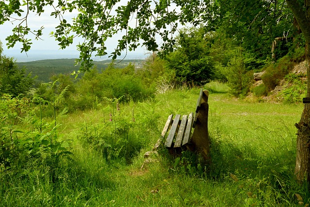 全队作战的 全队作战的