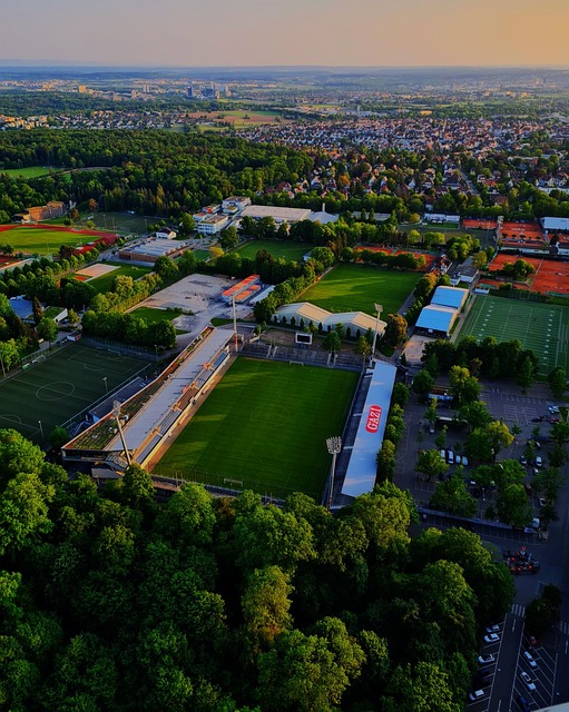 从这次失利 从这次失利