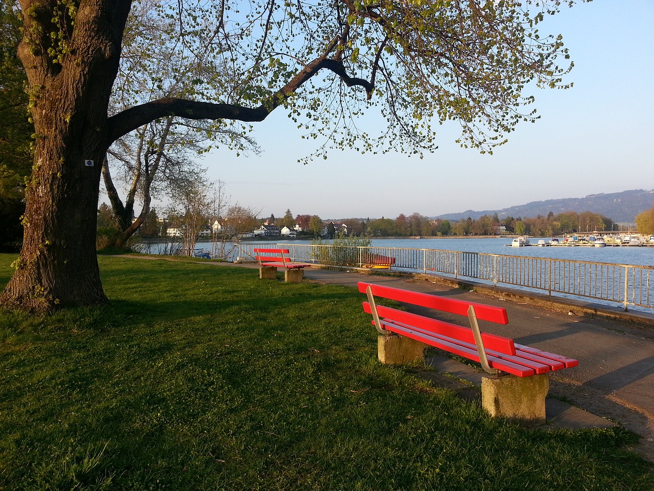 奇的每一个 奇的每一个