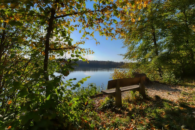 她们的实力 她们的实力