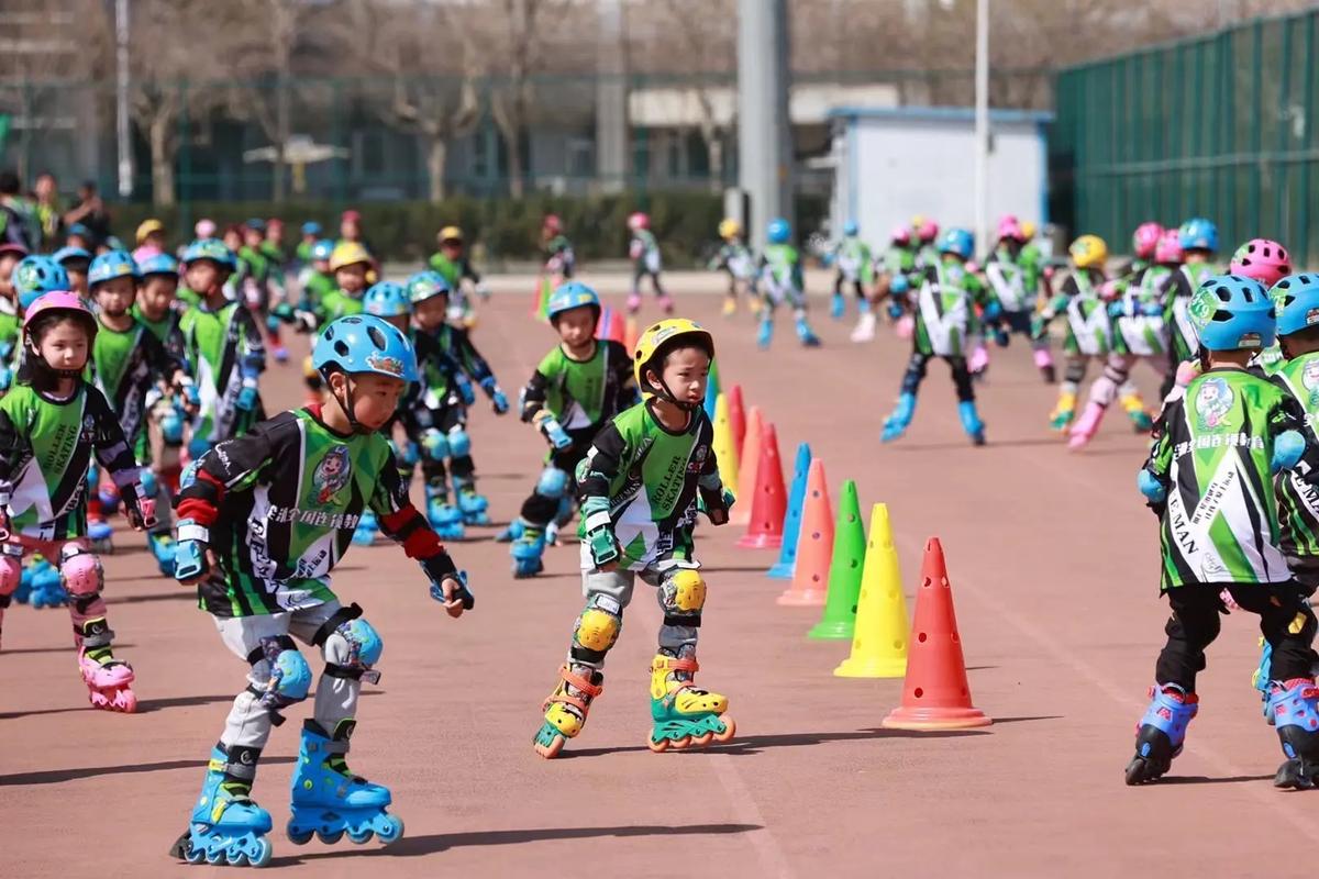 不仅展示了 不仅展示了