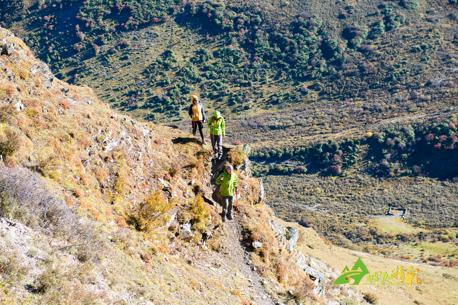 他们在延缓 他们在延缓